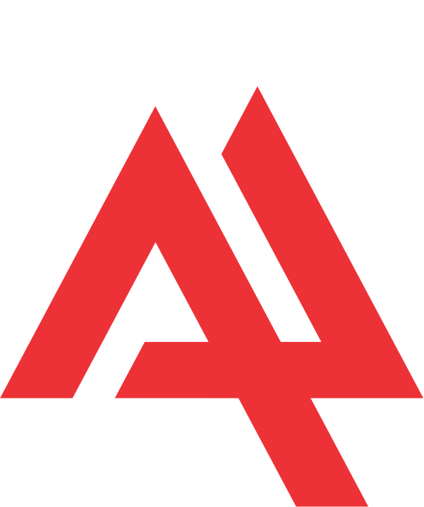 Aliya Impex